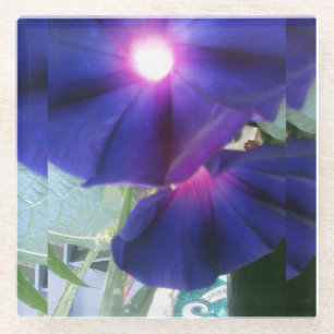 BlumenglasUntersetzer Glasuntersetzer