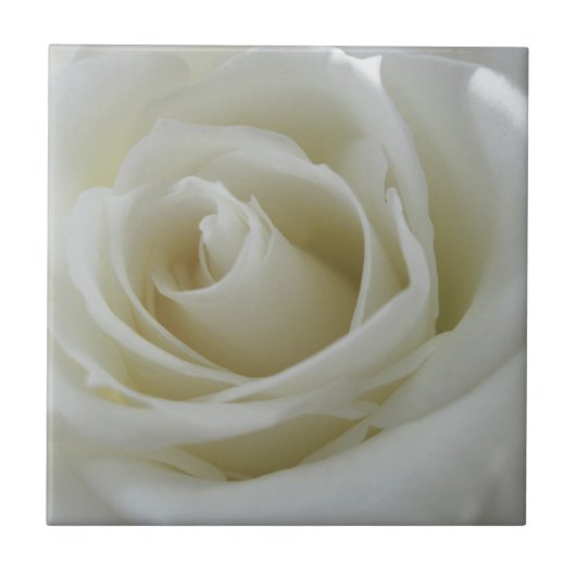 Blumenglühen Fliese (Vorderseite)