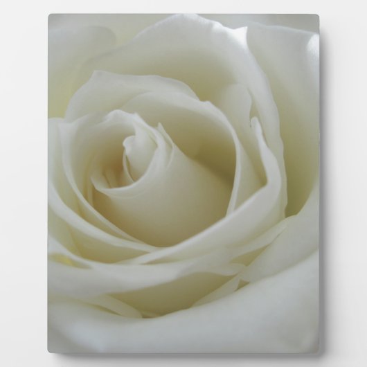 Blumenglühen Fotoplatte (Vorderseite)