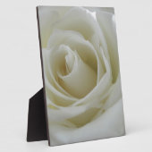 Blumenglühen Fotoplatte (Seite)