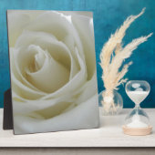 Blumenglühen Fotoplatte (Seite)