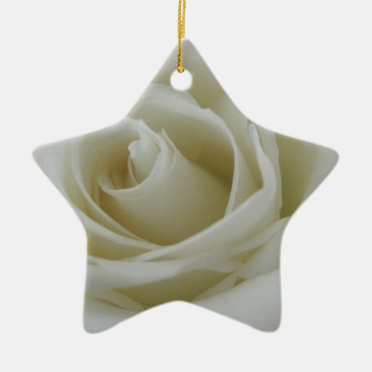 Blumenglühen Keramikornament (Vorne)