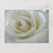 Blumenglühen Postkarte (Vorderseite)