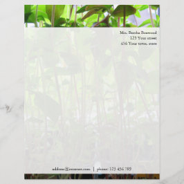 Blumengrün Sedlings Foto Benutzerdefinierte Adress Briefbogen