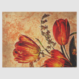 Blumengrunge Orange Tulip Decoupage Seidenpapier