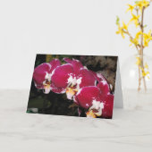 Blumengrußkarte Karte (Gelbe Blume)