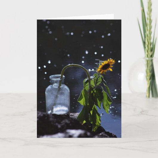 Blumengrüßkarte, leere karte (Vorderseite)