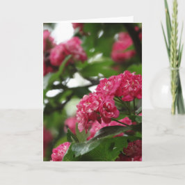 Blumengrußkarte, Standard Karte