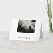 Blumengrußkarten Einladung (Rückseite)