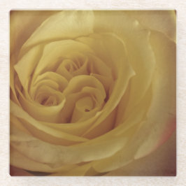 Blumenhellgelbe Rose Foto Schöne Blume Glasuntersetzer