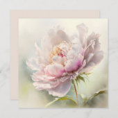 Blumenhintergrund. Frühlingsblüte (Vorne/Hinten)