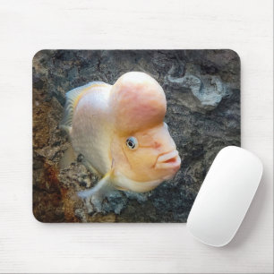 Blumenhorn Mousepad