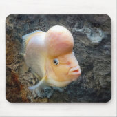 Blumenhorn Mousepad (Vorne)