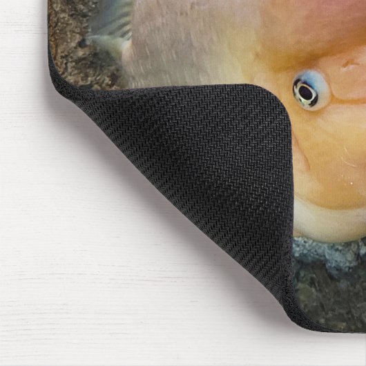 Blumenhornfisch mit Sprachblase Mousepad (Ecke)
