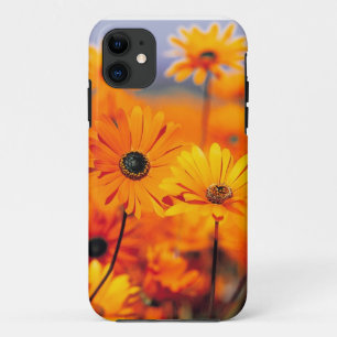 BlumenIphone 5 universeller Fall Case-Mate iPhone Hülle