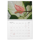 Blumenkalender 2009 - besonders angefertigt kalender (Jan 2027)