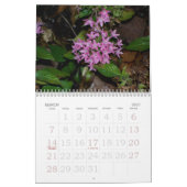 Blumenkalender 2009 - besonders angefertigt kalender (Mär 2027)