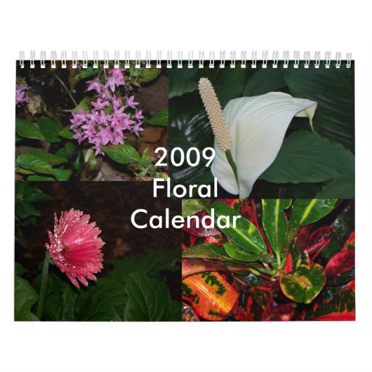 Blumenkalender 2009 - besonders angefertigt kalender (Titelbild)