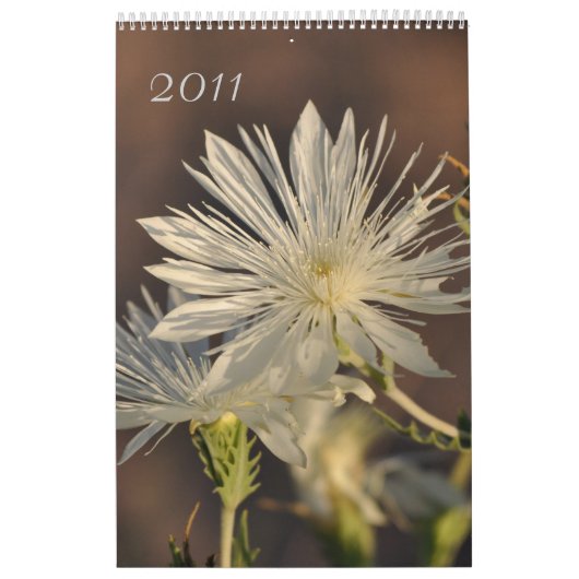 Blumenkalender 2011 kalender (Titelbild)