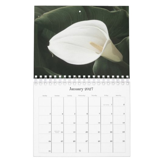 Blumenkalender 2011 kalender (Jan 2027)