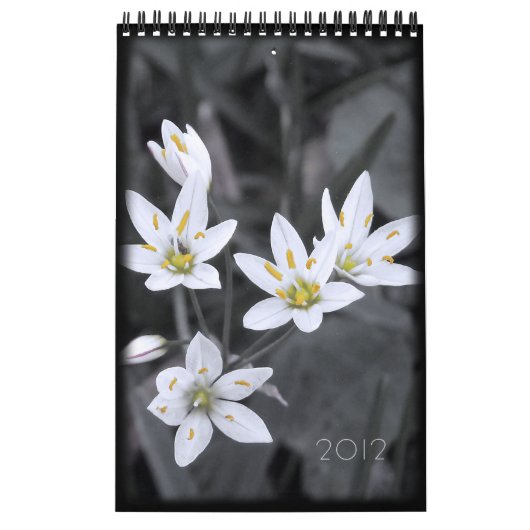 Blumenkalender 2012 - 12 Single - Monate Kalender (Titelbild)
