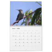 Blumenkalender 2013: Willkommen zu meinem Garten Kalender (Mär 2026)