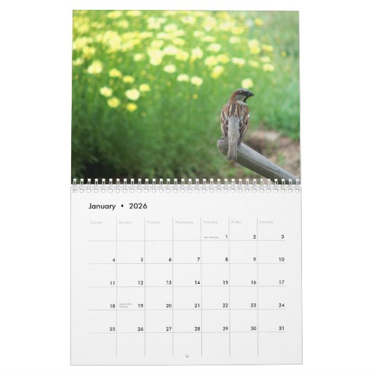 Blumenkalender 2013: Willkommen zu meinem Garten Kalender (Jan 2026)