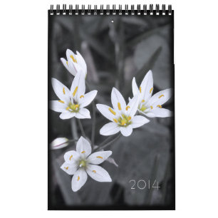 Blumenkalender 2014 - 12 Single - Monate Kalender