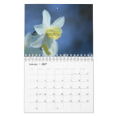 Blumenkalender 2017 kalender (Jan 2027)