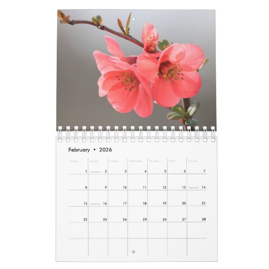 Blumenkalender 2018 kalender (Feb 2026)