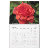 Blumenkalender 2023 kalender (Jan 2027)