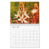 Blumenkalender 2024 kalender (Mär 2027)