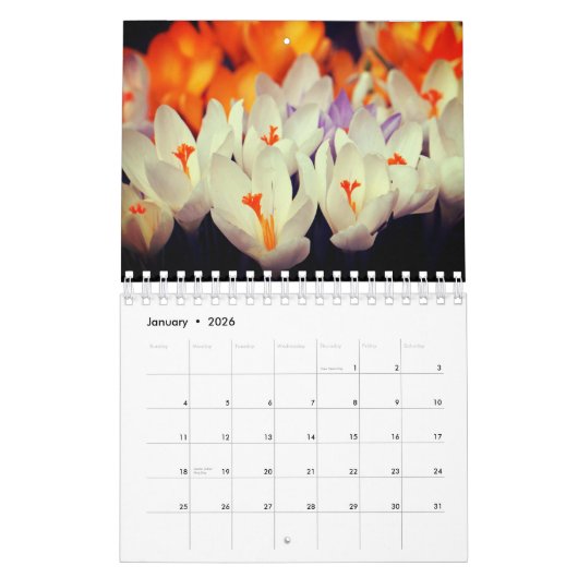 Blumenkalender 2024 kalender (Jan 2026)