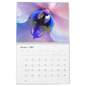 Blumenkalender 2026 kalender (Jan 2027)