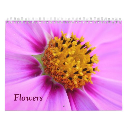 Blumenkalender Kalender (Titelbild)