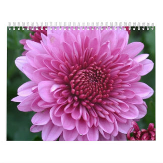Blumenkalender Kalender