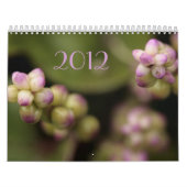 Blumenkalender Kalender (Titelbild)