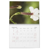 Blumenkalender Kalender (Feb 2026)