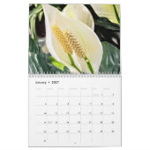 Blumenkalender kalender (Jan 2027)