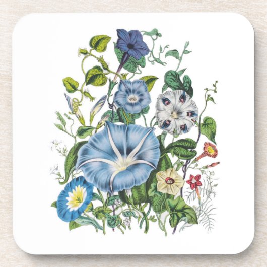 Blumenkarneval Getränkeuntersetzer (Vorderseite)
