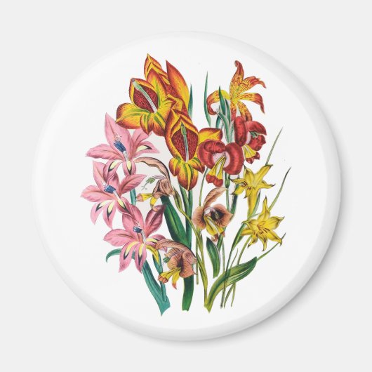 Blumenkarneval Magnet (Vorne)