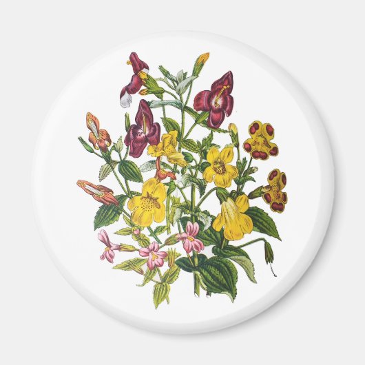 Blumenkarneval Magnet (Vorne)