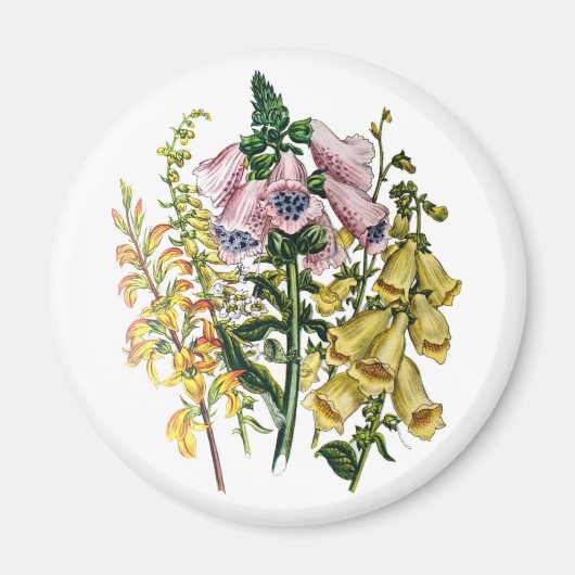 Blumenkarneval Magnet (Vorne)