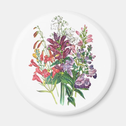 Blumenkarneval Magnet (Vorne)