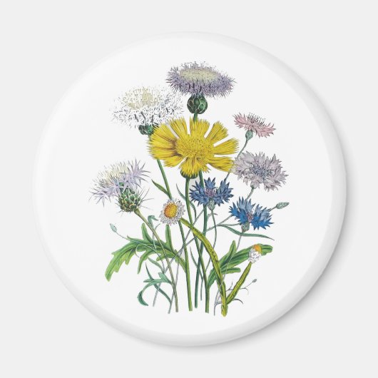 Blumenkarneval Magnet (Vorne)