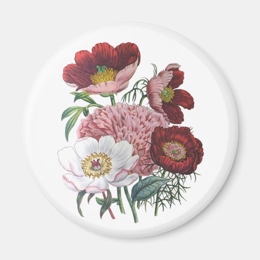 Blumenkarneval Magnet (Vorne)