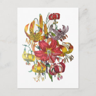Blumenkarneval Postkarte