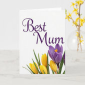 Blumenkarte 'Beste Mum' Karte (Gelbe Blume)