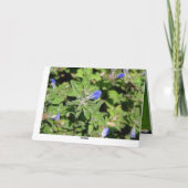 Blumenkarte der mutter Tages Karte (Rückseite)