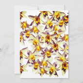 Blumenkarte, gelbe Kleidung Einladung (Rückseite)